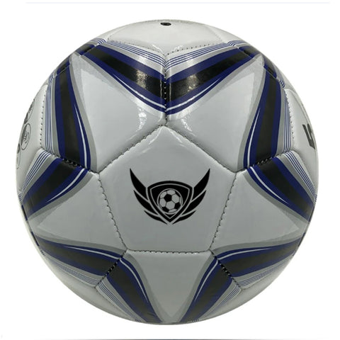 HertenPro Sports Maschinengenähter 32-Paneele-Fußball